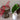 Florero Nels