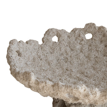Fuente Base Coral